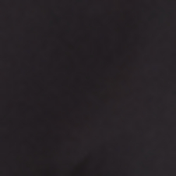Polo Black