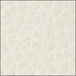 Vanilla