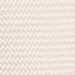 White Rose/Silk White