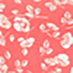 Carambole/P&ecirc;che/Colonial