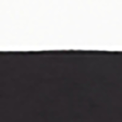 Polo Black/Silk White