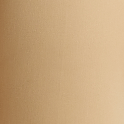 Birch Tan