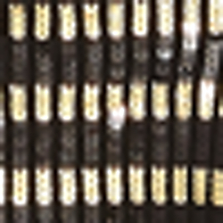 Noir avec rayures dor&eacute;es