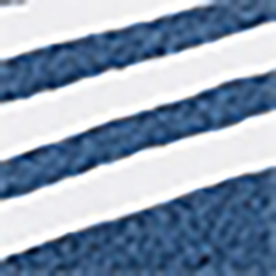 Navy And White