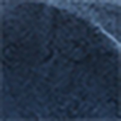 Club Navy