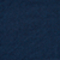 Cruise Navy