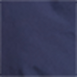 Navy/Silver