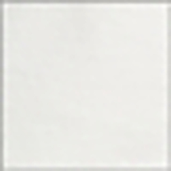 Classic Oxford White