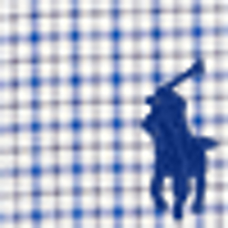Blue/White