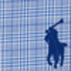 Blue/White Check