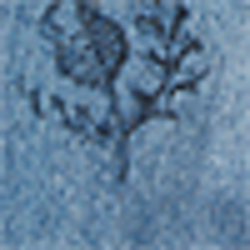 Ian Wash