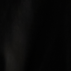 Polo Black