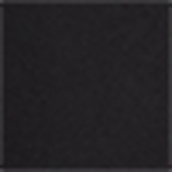 Polo Black