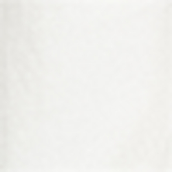 White/Polo Black