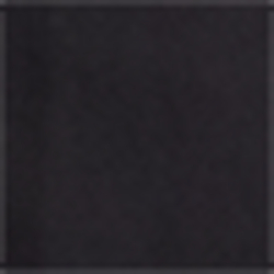Polo Black