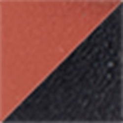 Saddle-black