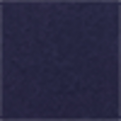 Cruise Navy Toggle Bear
