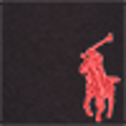 Polo Black/Red