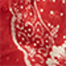 Americana Red