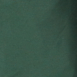 College Green/Polo Black