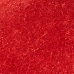 Rot