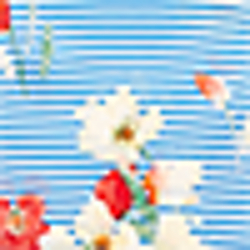 Geranium
