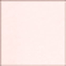 Pale Rose