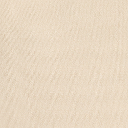 Palomino