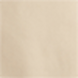 Icon Tan