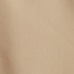 Icon Tan