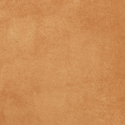 Cinnamon