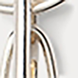 Silver / Rl Gold