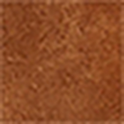 Cinnamon