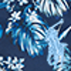 Tropical Floral