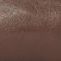 Polo Brown