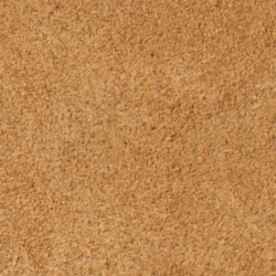 Desert Tan