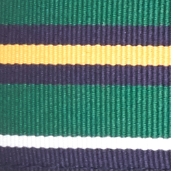 Navy/White/Green/Gold