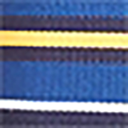 White/Royal/Navy/Gold