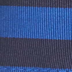 Navy/Royal