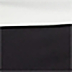 Black/White