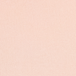 Pale Rose