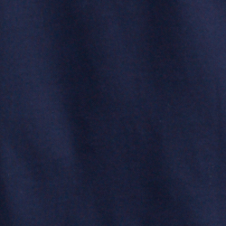 Cruise Navy