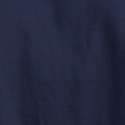 Cruise Navy