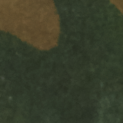 Olive Tiger Camo