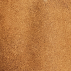 Soft Brown/ Spring Beige