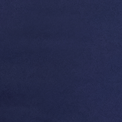 Cruise Navy