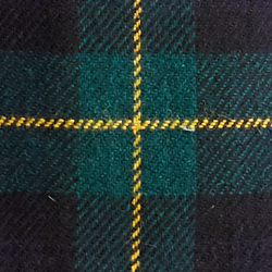 Black/Green/Navy/Yellow