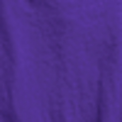 Purple Cactus