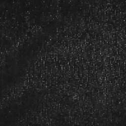 Polo Black