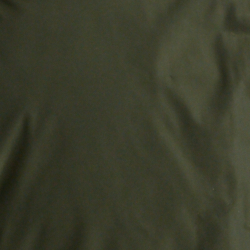 Company Olive